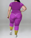 New Short Sleeve Slim Sports Wear Plus Size Two Piece Sets Black Purple Blue Red Light Brown XL-5XL