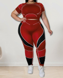 New Short Sleeve Slim Sports Wear Plus Size Two Piece Sets Black Purple Blue Red Light Brown XL-5XL