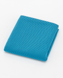 Solid Color Cool Feeling Quick-drying Sweat-absorbing Sports Gym Towel 100*30cm