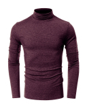 Men's Autumn Basic Solid Color Long Sleeve High Neck T-shirt S-2XL