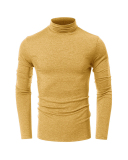 Men's Autumn Basic Solid Color Long Sleeve High Neck T-shirt S-2XL