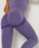 Women High Waist Sports Seamless Breathable Yoga Bottoms Leggings S-XL