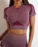 Popular Ruched Outside Sports Short Sleeve Shorts Yoga Two-piece Sets S-L