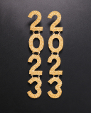 2023 Street Style Diamond Fashion Earring Gold Silver