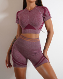 Popular Ruched Outside Sports Short Sleeve Shorts Yoga Two-piece Sets S-L