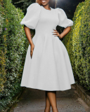 Elegant Short Puff Sleeve A-line Plus Size Dresses Green Rosy Pink Orange Black White S-3XL