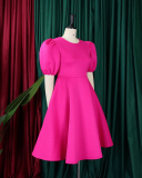 Elegant Short Puff Sleeve A-line Plus Size Dresses Green Rosy Pink Orange Black White S-3XL