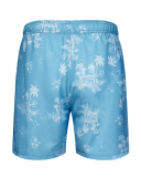 Men's Vacation Hawaii Travel Beach Shorts S-2XL