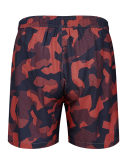 Men's Vacation Hawaii Travel Beach Shorts S-2XL
