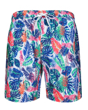 Men's Vacation Hawaii Travel Beach Shorts S-2XL