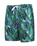 Men's Vacation Hawaii Travel Beach Shorts S-2XL