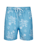 Men's Vacation Hawaii Travel Beach Shorts S-2XL