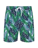Men's Vacation Hawaii Travel Beach Shorts S-2XL