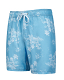 Men's Vacation Hawaii Travel Beach Shorts S-2XL