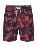 Men's Vacation Hawaii Travel Beach Shorts S-2XL