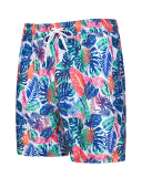 Men's Vacation Hawaii Travel Beach Shorts S-2XL