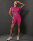Women Solid Color Short Sleeve Top High Waist Yoga Two-piece Shorts Sets S-L