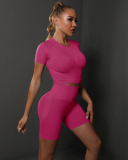 Women Solid Color Short Sleeve Top High Waist Yoga Two-piece Shorts Sets S-L