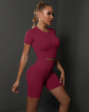 Women Solid Color Short Sleeve Top High Waist Yoga Two-piece Shorts Sets S-L