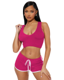 Sporty Women New Wholesale Two Piece Short Set