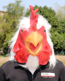 Halloween Costume Cosplay Latex Scary Decoration Mask