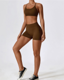 Women High Waist Seamless V Back Outside Wear Yoga Shorts S-XL