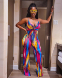V-neck Sleeveless Printed Women Summer Jumpsuit S-3XL