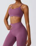 Solid Color Back Criss Bra Slim High Waist Pants Sets Yoga Two-piece Sets S-XL