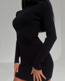 Long Sleeve Autumn Winter Knitted Women Skinny Girl Dress S-L