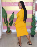 Long Sleeve Women Causal Dress S-XXL