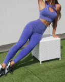 Hot Sale Hollow Out Front Zipper Bra Yoga High Waist Seamless Pants Sets S-L