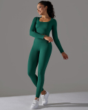 Women Seamless Knit Long Sleeve Fitness Breathable Running Yoga Pants Sets Yoga Two-piece Sets S-L