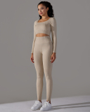 Women Seamless Knit Long Sleeve Fitness Breathable Running Yoga Pants Sets Yoga Two-piece Sets S-L