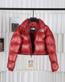 North Face Winter Warm Coat