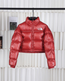 North Face Winter Warm Coat