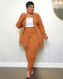 Elegant Long Sleeve Business Suit Plus Size Two Piece Sets L-4XL