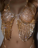 Sexy Luxury Tassel Bra Rhinestone Jewerly Culb Body Chain