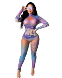 Mesh Printed Long Sleeve High Neck Slim Jumpsuit S-XL