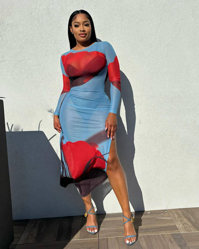 Long Sleeve Mesh Women Printed Dress S-XL