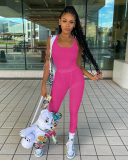Women Sleeveless Vest High Waist Pants Sets Two Pieces Outfit Pink Gray Rosy Black Blue S-2XL