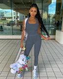 Women Sleeveless Vest High Waist Pants Sets Two Pieces Outfit Pink Gray Rosy Black Blue S-2XL