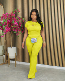 Short Sleeve Women Solid Color Fashion Two Piece Pant Set S-XXL