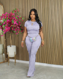 Short Sleeve Women Solid Color Fashion Two Piece Pant Set S-XXL