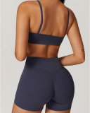 Women Sling Bra Pants Quick Drying Running Yoga Two-piece Sets S-XL