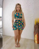 Printed Women Summer Cute Two Piece Skirt Set S-XXL