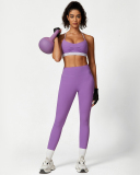 Colorblock Women Fitness Sports Yoga Two-piece Sets S-L
