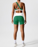 Women V Neck Sports Bra Colorblock Shorts Yoga Two Piece Sets XS-XL