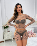 Leopard Mesh See Through Two Piece Set