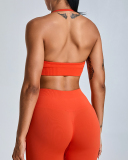 Factory Price Women Seamless Halter Neck Running Shorts Sets Yoga Two-piece Set S-XL