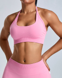 Factory Price Women Seamless Halter Neck Running Shorts Sets Yoga Two-piece Set S-XL